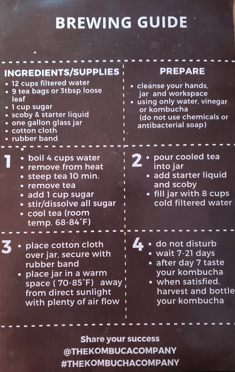 Getting Started with Kombucha